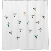 Hummingbirds Duschvorhang (Vorderseite)