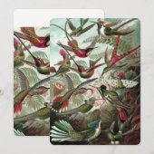 Hummingbirds - Ernst Haeckel Einladung (Vorne/Hinten)