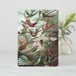 Hummingbirds - Ernst Haeckel Einladung