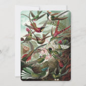 Hummingbirds - Ernst Haeckel Einladung (Vorderseite)