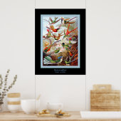 Hummingbirds ~ Ernst Haeckel Poster (Küche)