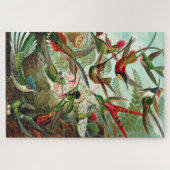 Hummingbirds - Ernst Haeckel Puzzle (Horizontal)