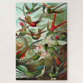 Hummingbirds - Ernst Haeckel Puzzle (Vertikal)