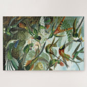 Hummingbirds - Ernst Haeckel Puzzle (Horizontal)