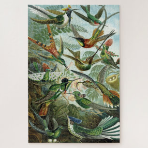 Hummingbirds - Ernst Haeckel Puzzle