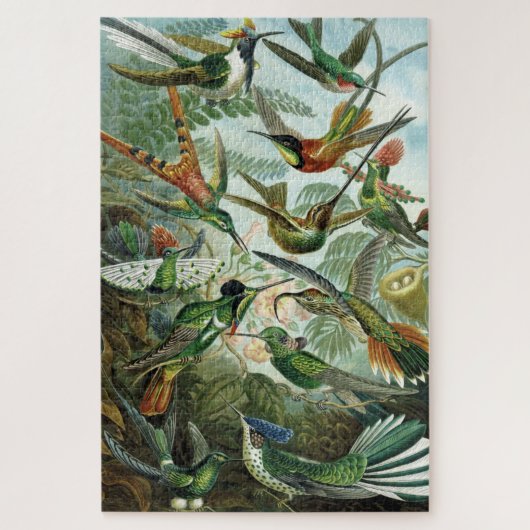 Hummingbirds - Ernst Haeckel Puzzle (Vertikal)