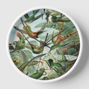 Hummingbirds - Ernst Haeckel Uhr