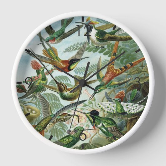 Hummingbirds - Ernst Haeckel Uhr (Vorderseite)