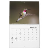 Hummingbirds Galor Kalender (Feb 2027)