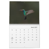 Hummingbirds Galor Kalender (Mär 2027)
