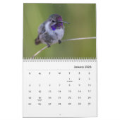 Hummingbirds Galor Kalender (Jan 2026)