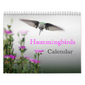 HUMMINGBIRDS-Kalender Kalender (Titelbild)