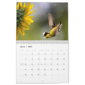 HUMMINGBIRDS-Kalender Kalender (Mär 2027)