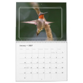 HUMMINGBIRDS-Kalender Kalender (Jan 2027)