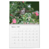 HUMMINGBIRDS-Kalender Kalender (Feb 2027)