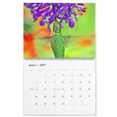 HUMMINGBIRDS-Kalender Kalender (Mär 2027)