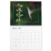 HUMMINGBIRDS-Kalender Kalender (Feb 2027)