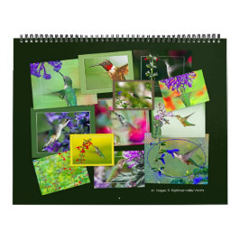 HUMMINGBIRDS-Kalender Kalender