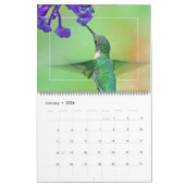 HUMMINGBIRDS-Kalender Kalender (Jan 2026)