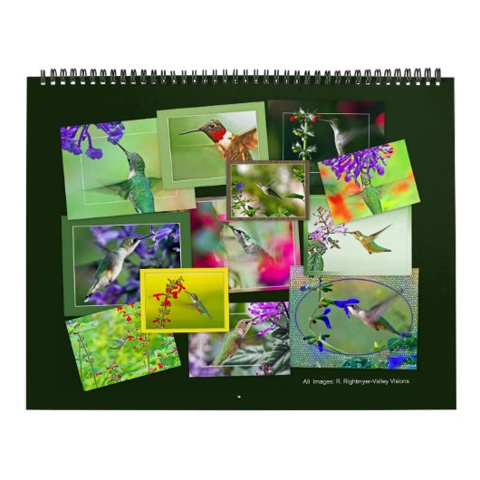 HUMMINGBIRDS-Kalender Kalender (Titelbild)