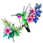 Hummingbirds: Nature's Aerial Juwels T-Shirt