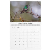 Hummingbirds of Costa Rica Calendar Kalender (Mär 2026)