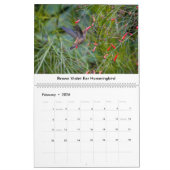 Hummingbirds of Costa Rica Calendar Kalender (Feb 2026)