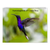 Hummingbirds of Costa Rica Calendar Kalender (Titelbild)