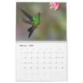Hummingbirds of Costa Rica Calendar Kalender (Feb 2026)