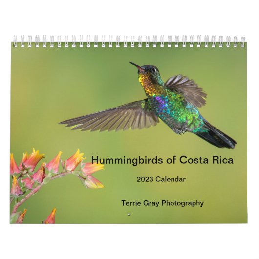 Hummingbirds of Costa Rica Calendar Kalender (Titelbild)