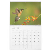 Hummingbirds of Costa Rica Calendar Kalender (Mär 2027)