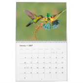 Hummingbirds of Costa Rica Calendar Kalender (Jan 2027)