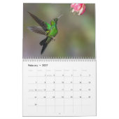 Hummingbirds of Costa Rica Calendar Kalender (Feb 2027)