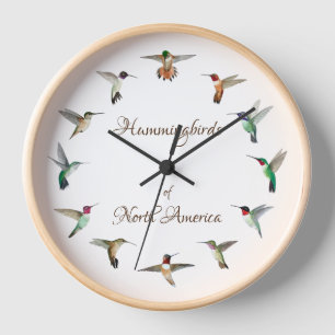 Hummingbirds of North America Clock Uhr