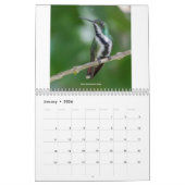 Hummingbirds of Trinidad & Tobago 2022 Calendar Kalender (Jan 2026)