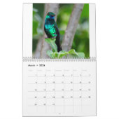 Hummingbirds of Trinidad & Tobago 2022 Calendar Kalender (Mär 2026)
