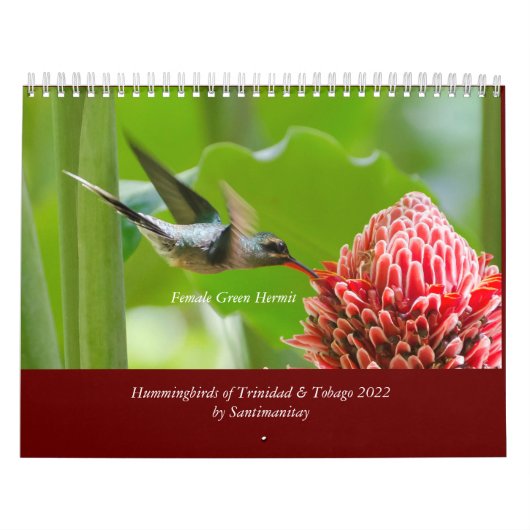 Hummingbirds of Trinidad & Tobago 2022 Calendar Kalender (Titelbild)