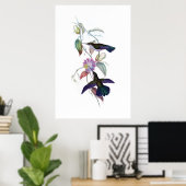 Hummingbirds Poster (Heimbüro)