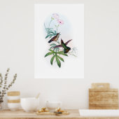 Hummingbirds Poster (Küche)
