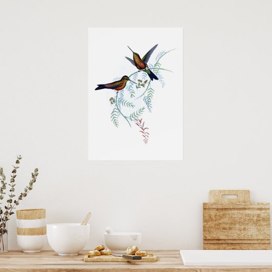 Hummingbirds Poster (Küche)