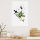 Hummingbirds Poster (Küche)