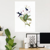 Hummingbirds Poster (Heimbüro)