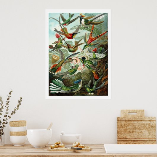 Hummingbirds Poster (Küche)