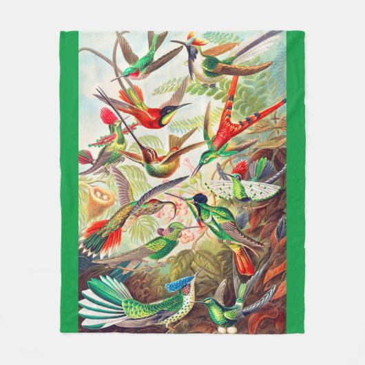 Hummingbirds print 1904 fleecedecke (Vorderseite)