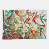 Hummingbirds print 1904 geschirrtuch (Horizontal)
