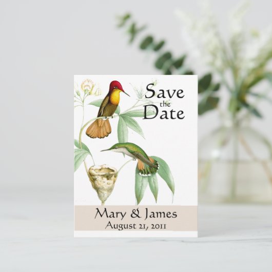 Hummingbirds Save the Date Postkarte (Stehend Vorderseite)