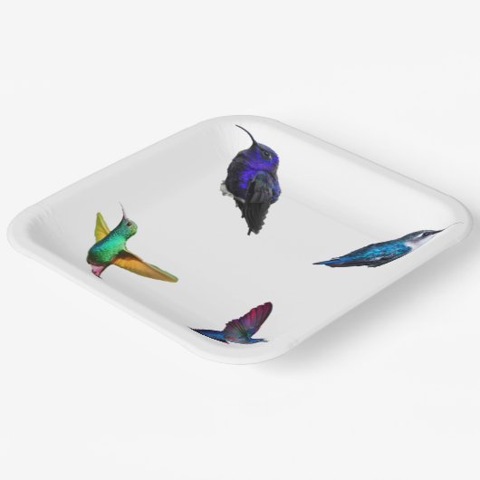 Hummingbirds Schlicht Backpaper Teller (Gewinkelt)