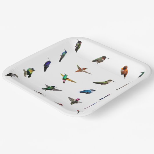 Hummingbirds Schlicht Backpaper Teller (Gewinkelt)