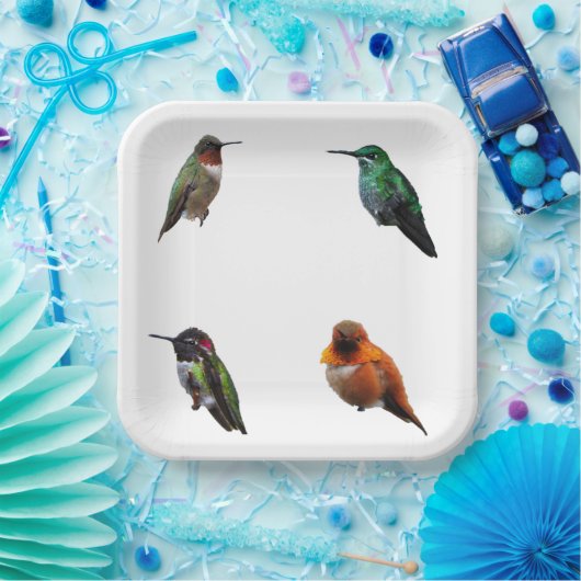 Hummingbirds Schlicht Backpaper Teller (Party)