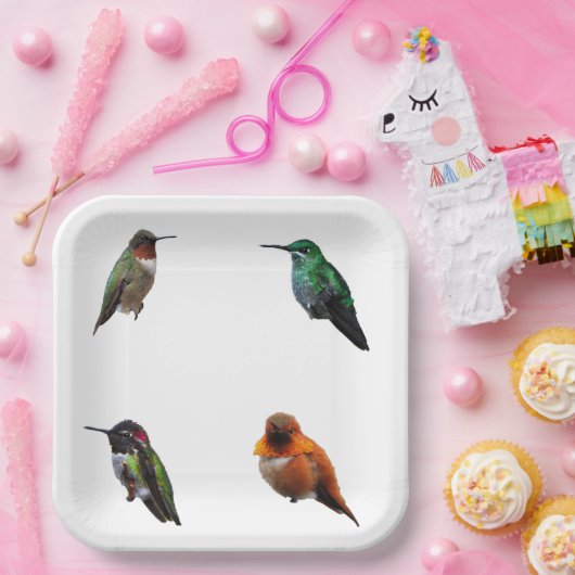 Hummingbirds Schlicht Backpaper Teller (Party)